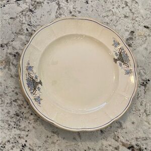 Set of 5 vintage Limoges dinner plates